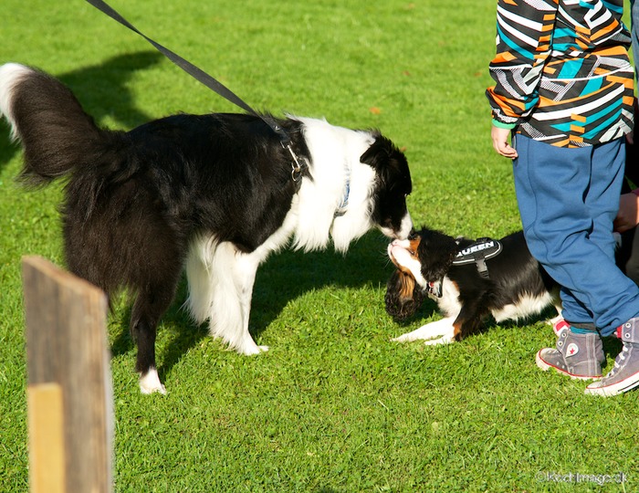 LHK DSC_3278