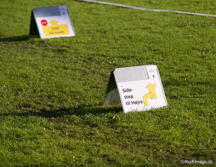 LHK DSC_3328