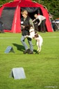 LHK DSC_3378