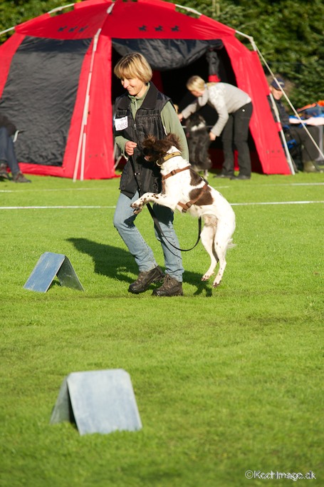 LHK DSC_3378