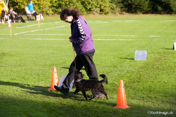 LHK DSC_3456