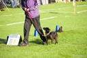 LHK DSC_3458