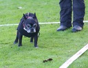 LHK DSC_3503