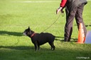 LHK DSC_3522