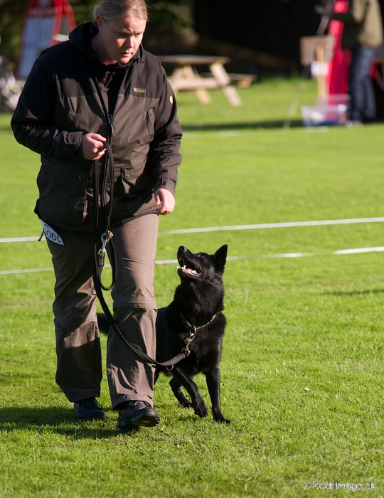 LHK DSC_3581