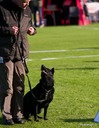 LHK DSC_3582
