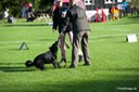 LHK DSC_3594
