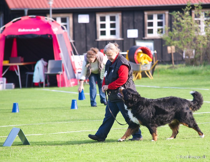 LHK DSC_3640