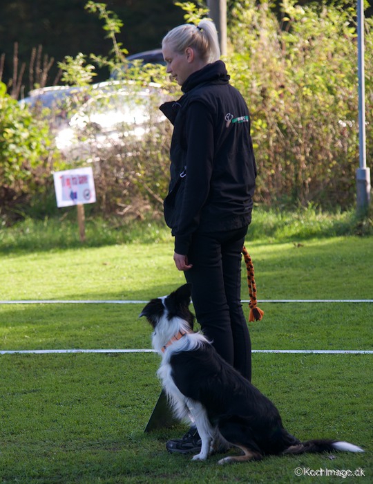 LHK DSC_3666