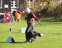 LHK DSC_3746