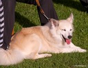 LHK DSC_3789