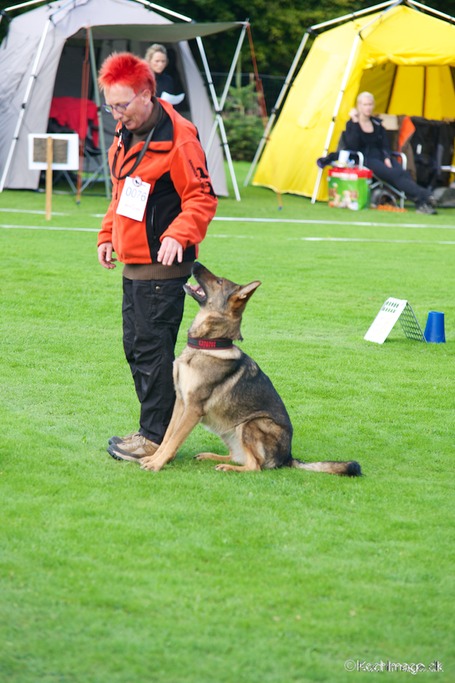 LHK DSC_3835