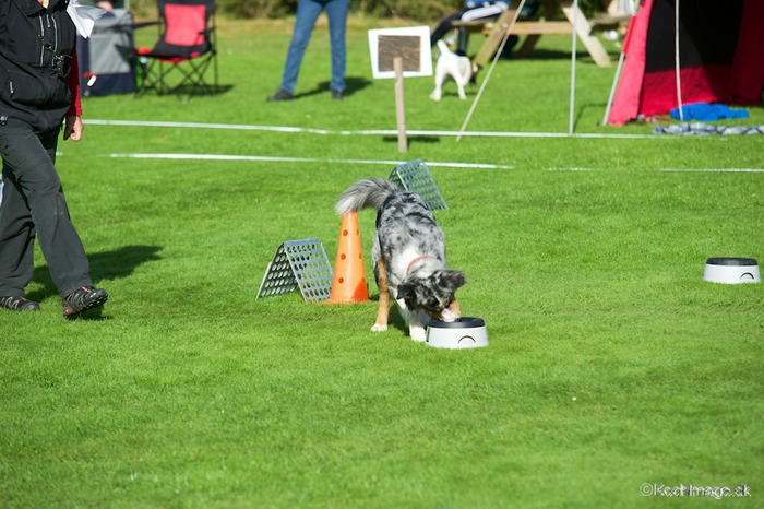 LHK DSC_3980