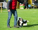 LHK DSC_4041